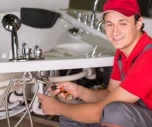 About Plumbers Pros Williams, MN
